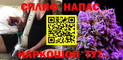 мдпв Обнинск