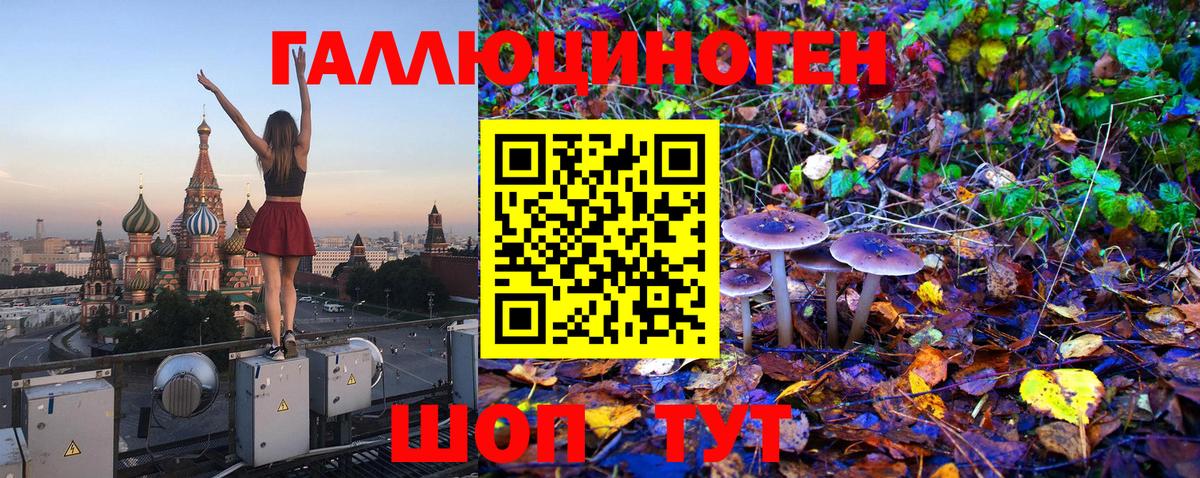 Псилоцибиновые грибы мицелий Сорочинск